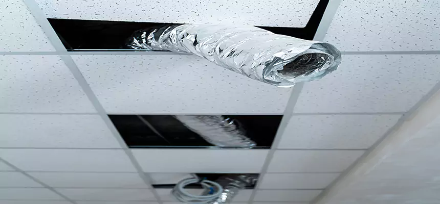 Our Air Duct Pet Hair Removal Services in Highland Springs, VA