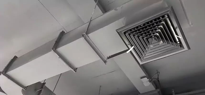 Restorative Allergy Relief Vent Cleaning – Coil, Blower & Housing Detail in Highland Springs