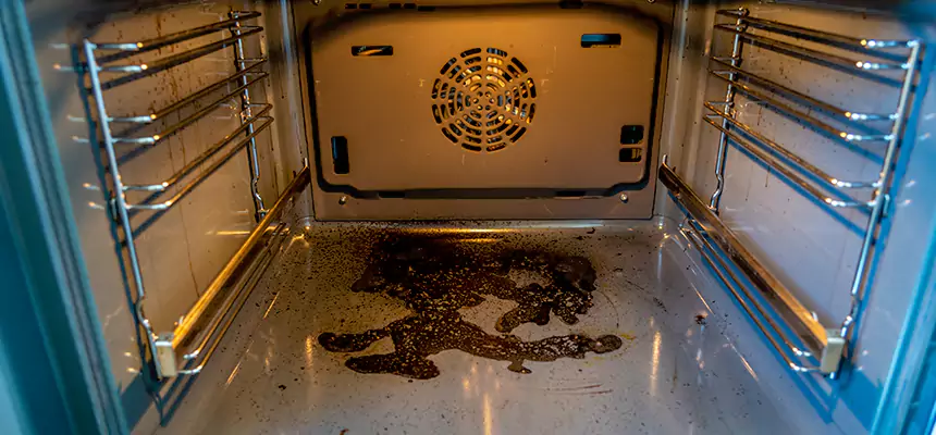 Our Dryer Vent Mold Cleaning Services in Highland Springs, VA