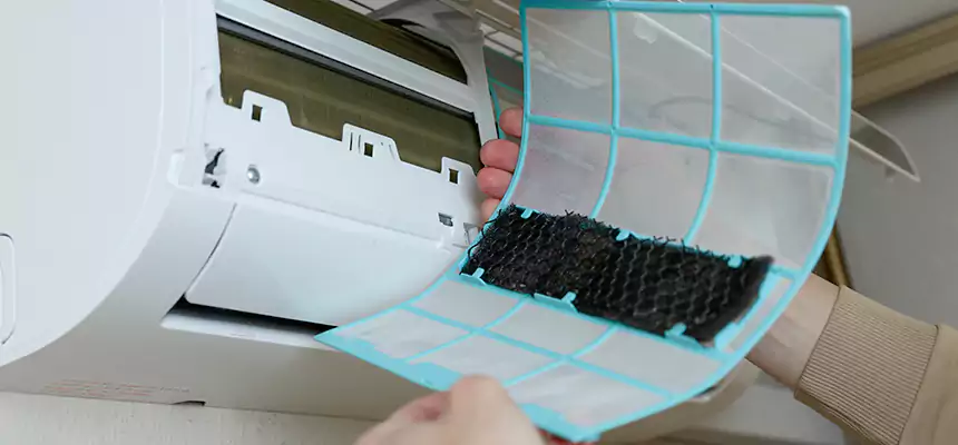 Gentle Ductwork Odor-Control Pet Dander Duct Cleaning in Highland Springs, VA