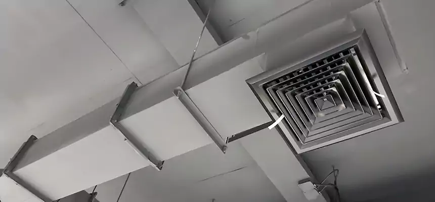 Our Rodent Droppings In Vents Services in Highland Springs, VA