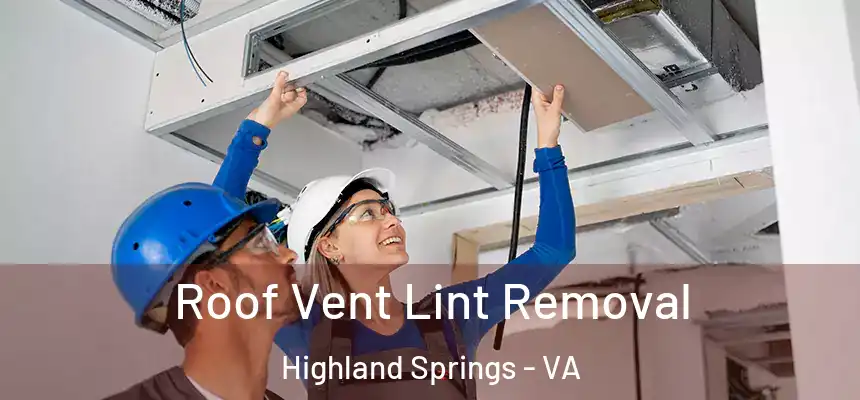  Roof Vent Lint Removal Highland Springs - VA