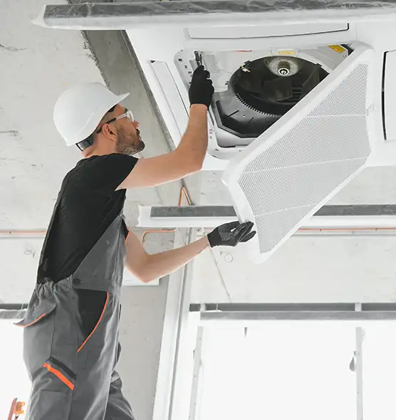 About Air Duct Rodent Removal in Highland Springs, VA