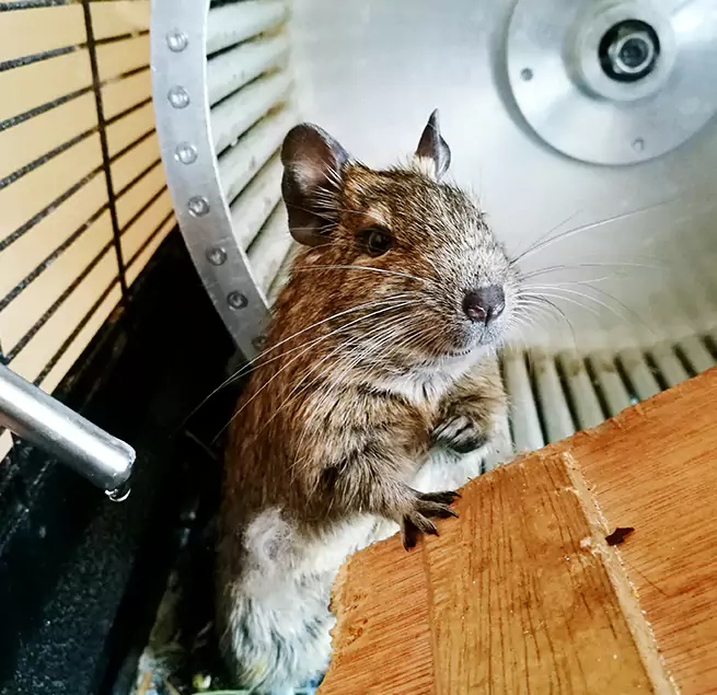 Why Homeowners & Businesses Trust Us Highland Springs, VA