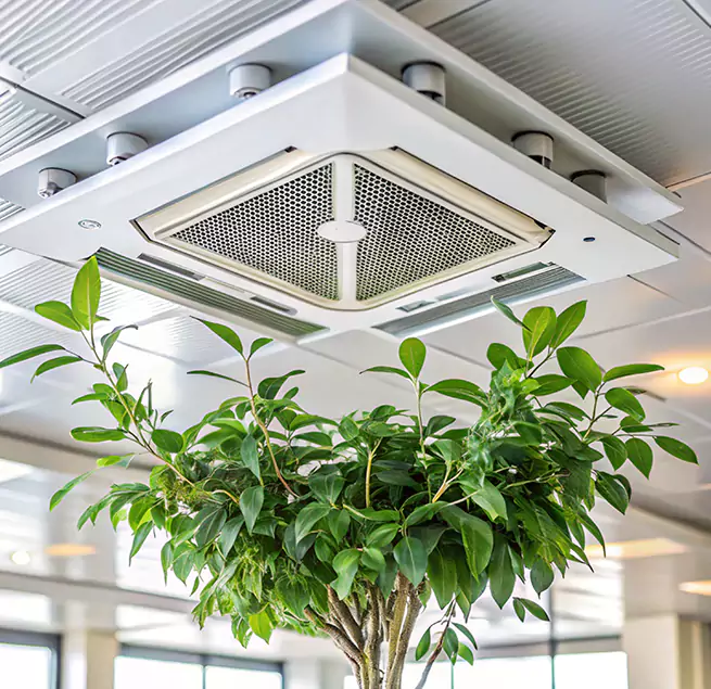 Why Homeowners & Businesses Trust Us in Highland Springs, VA