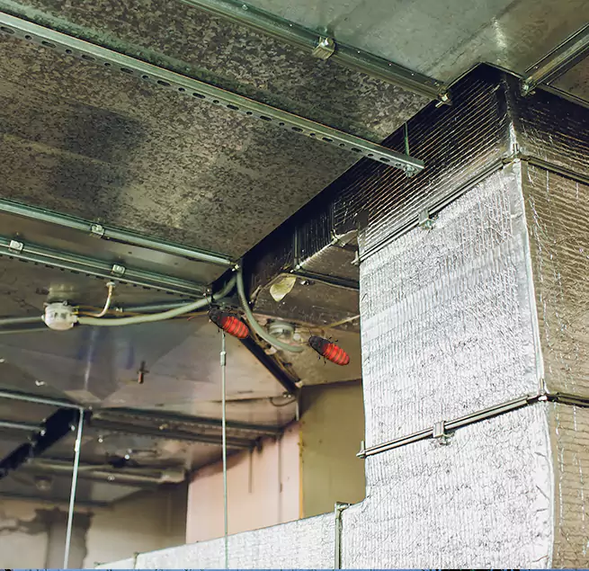 Why Homeowners & Businesses Trust Us Highland Springs, VA?